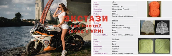 прущие грибы Алзамай