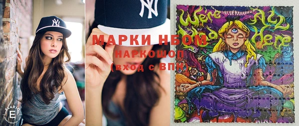 прущие грибы Алзамай