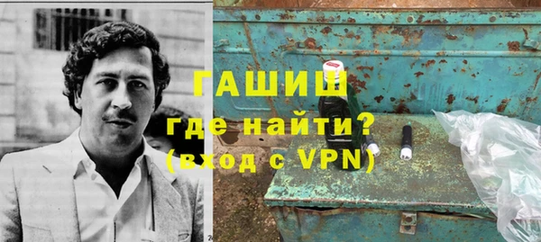 прущие грибы Алзамай