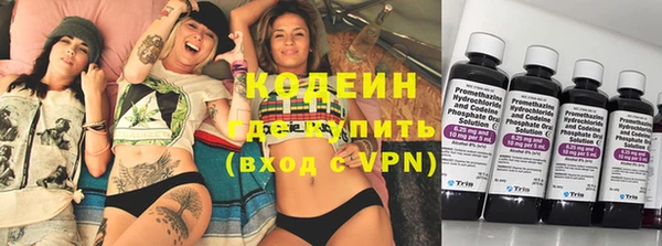 прущие грибы Алзамай